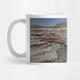 850_3871 Mug